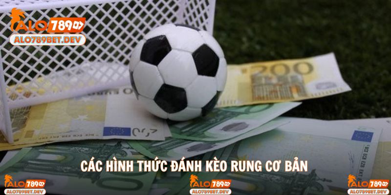 Các hình thức cá cược kèo bóng rung phổ biến nhất 