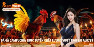 Đá Gà Campuchia Trực Tuyến Chất Lượng Vượt Trội Tại Alo789