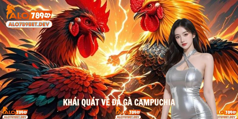 Trải nghiệm đá gà hấp dẫn, kịch tính và nảy lửa