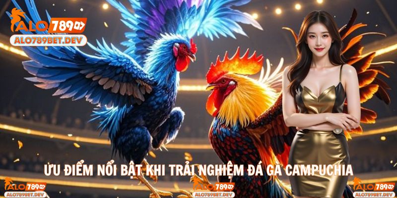 Theo dõi đá gà Campuchia trực tuyến tại Alo789 cực cuốn hút