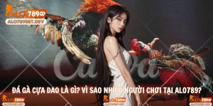 Đá Gà Cựa Dao Là Gì? Vì Sao Nhiều Người Chơi Tại ALO789?