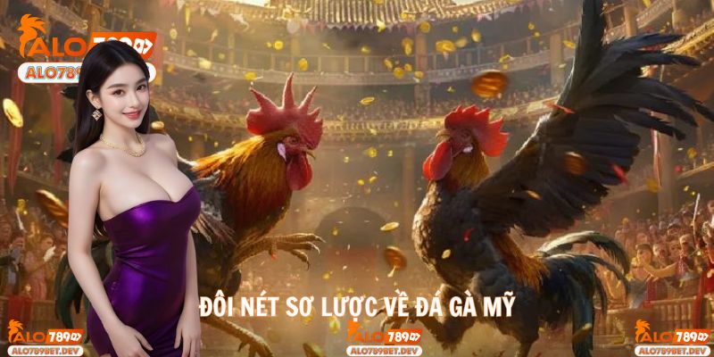 Khám phá nguồn gốc và sức hấp dẫn của đá gà Mỹ