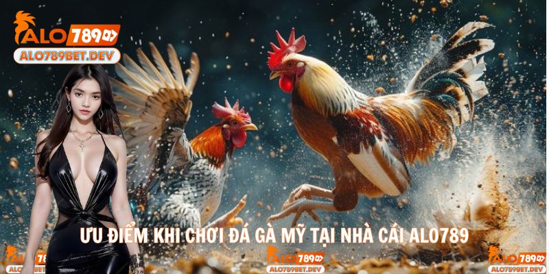 Trải nghiệm đá gà với nhiều kèo cược siêu hấp dẫn
