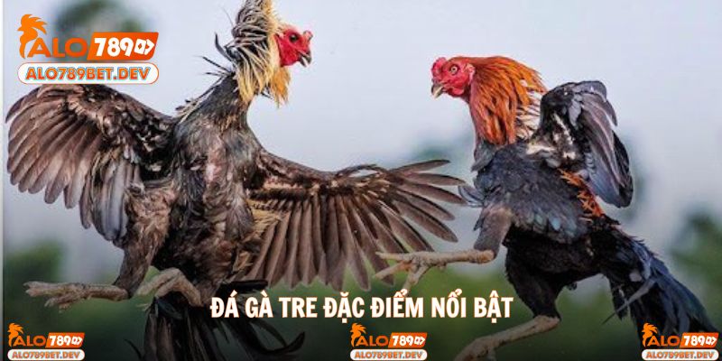 Đặc điểm nổi bật của loại hình được nhiều người yêu thích