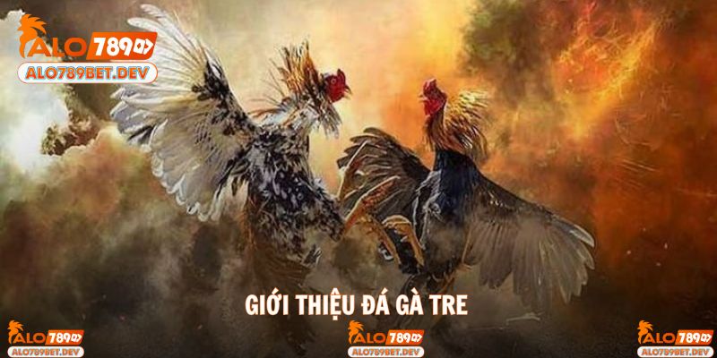 Giới thiệu hình thức giải trí đá gà tre